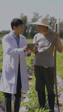科研人员和农民在田里交流技术